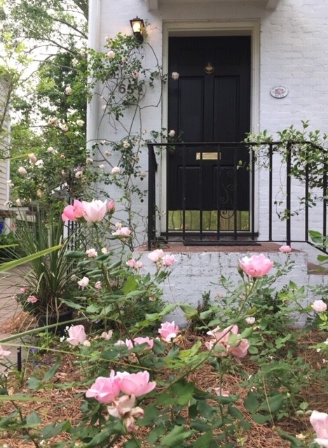 Foto principal - 65 Lenwood Blvd