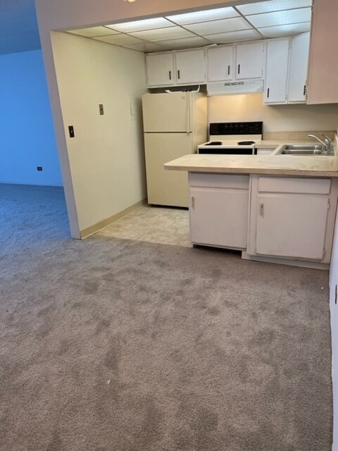 Foto del edificio - 1557 W Irving Park Rd