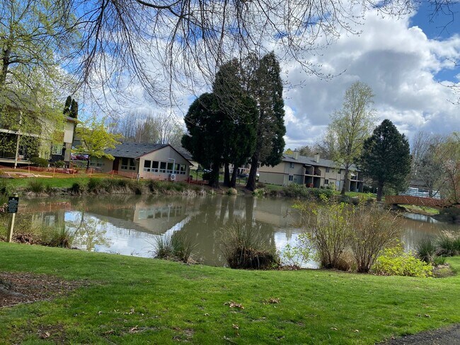 Building Photo - Cedar Mills Two Bedroom Condo-Nicely Remodeled!