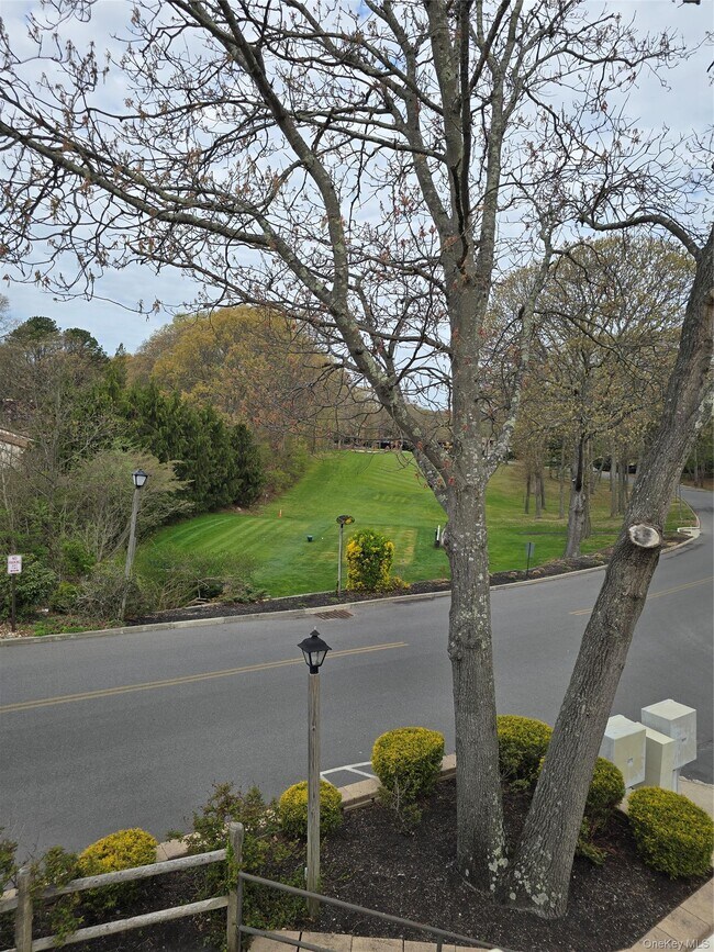 Foto del edificio - 79 Birchwood Rd