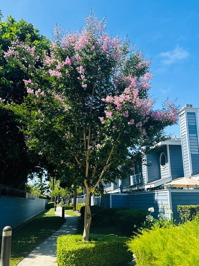 Foto del edificio - 8115 Surfline Dr