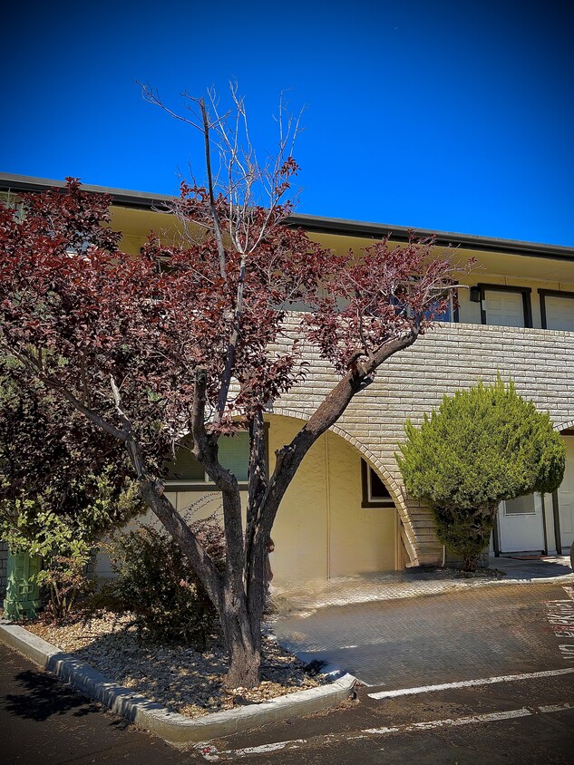 Building Photo - Sierra Madre Apartments