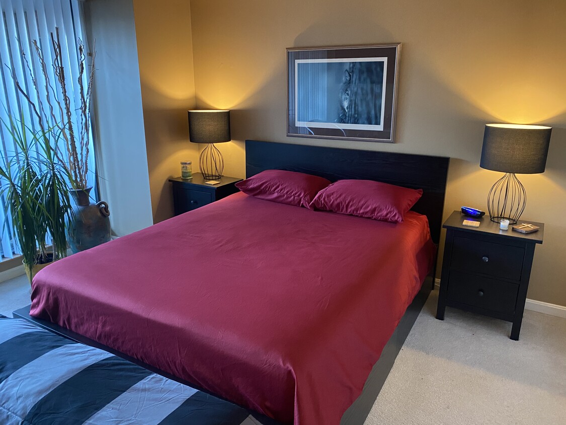 Large Bedroom with ample closet and sliding doors open out to covered balcony - 1 Riverside Pl