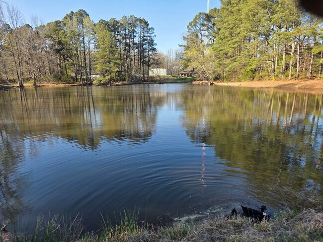 Building Photo - 109 Stanford Cir