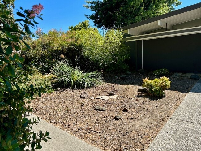 Foto del edificio - Updated Willow Glen Eichler