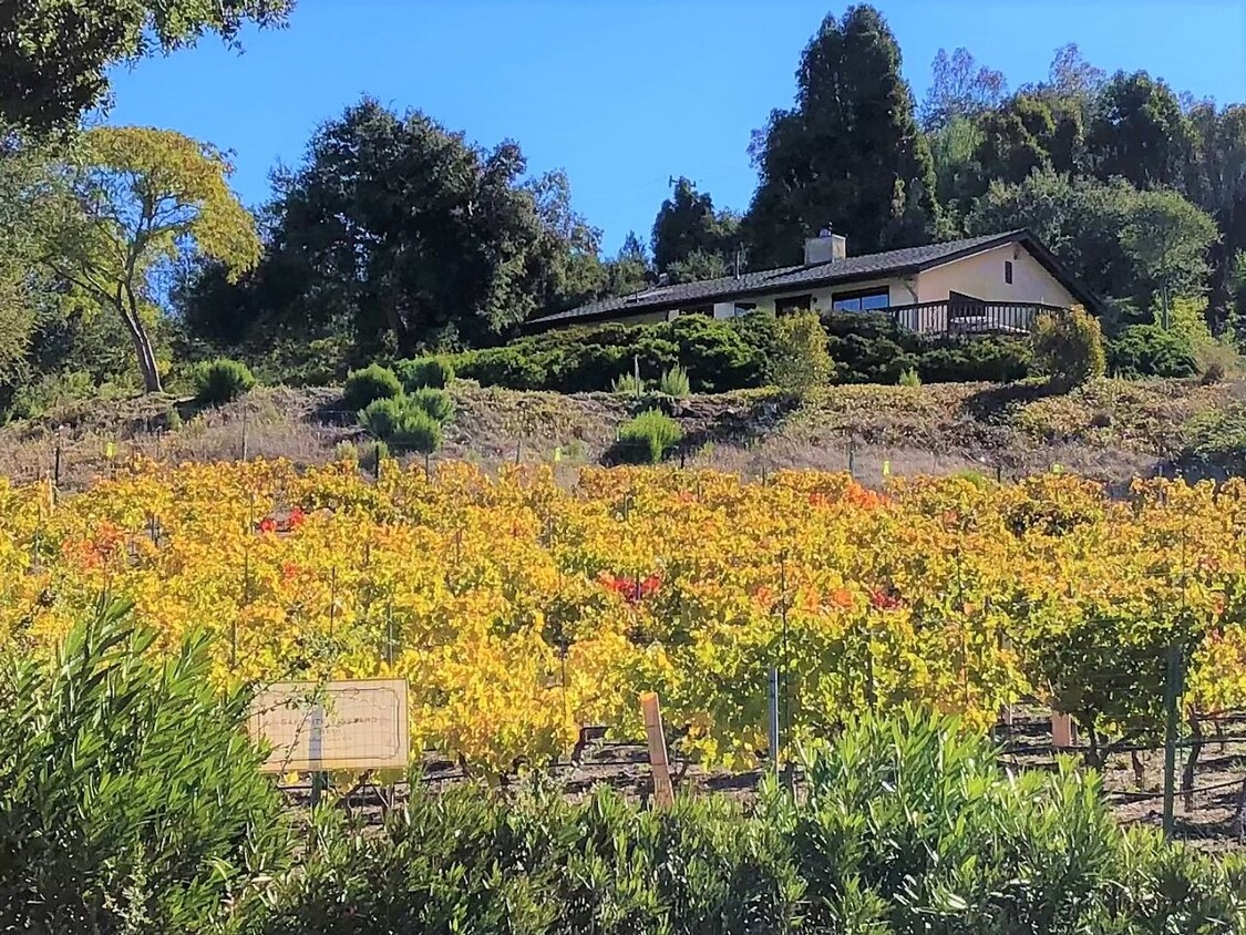 Primary Photo - Spectacular Ranch House With Amazing Views!