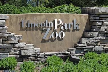 Photo - 1636 N Wells St Apartment