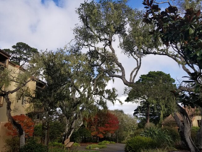 Foto del edificio - 3306 Golden Oaks Ln
