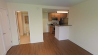 This single-floor residential space is thoughtfully designed to maximize functionality and comfort. The open-concept layout seamlessly connects the kitchen and living area, creating a spacious and cohesive environment ideal for everyday living and entertaining.

The kitchen is a standout feature, equipped with stainless steel appliances including a gas range, microwave, and refrigerator. Warm-toned wood cabinetry provides ample storage, while granite countertops add a touch of elegance. A peninsula breakfast bar extends into the living area, offering additional prep space and casual dining options.

Rich hardwood flooring flows throughout the main living space, lending warmth and continuity to the interior. The neutral, light-toned walls enhance the sense of openness and provide a versatile backdrop for a variety of décor styles. Recessed lighting in the kitchen ensures well-lit functionality.

A bathroom is visible from the main living area, featuring tile flooring and a classic layout. Additional built-in shelving is also glimpsed, offering practical storage solutions.

Overall, the space presents a clean, modern aesthetic with practical finishes and a well-considered layout that balances open living with essential private spaces.