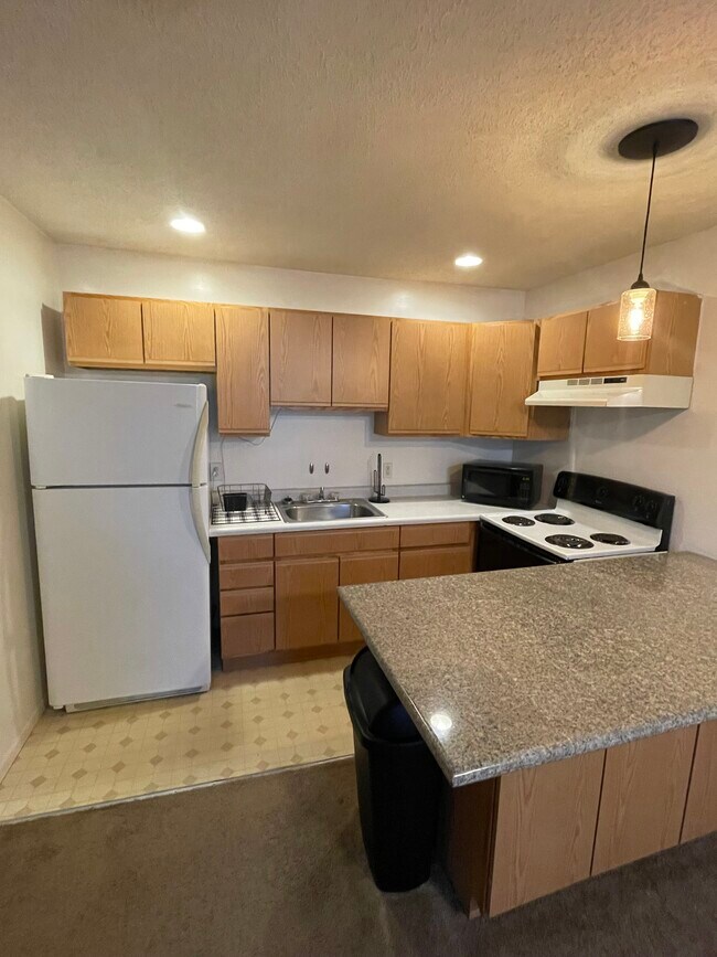 140 S Saginaw St Unit 1, Byron, MI 48418 Apartments in Byron, MI