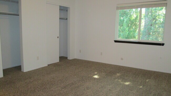Extra-large master bedroom with wall-length closet space. - 1440 Edora Rd