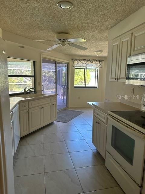 Building Photo - 324 Matisse Cir S