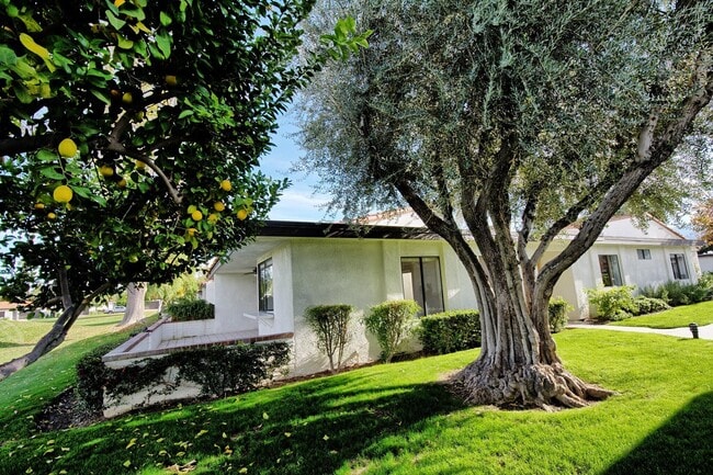 Building Photo - 16 San Sebastian Dr