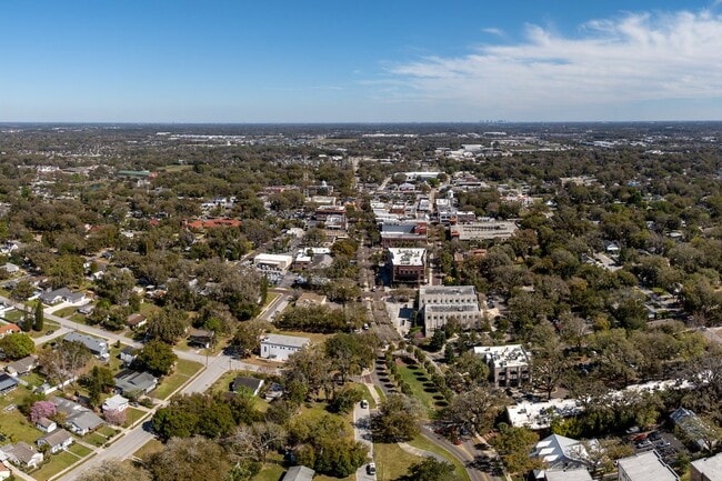 Aerial photo of downtown Winter Garden, FL.