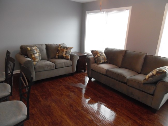 Living Room - Flint Road Apartments