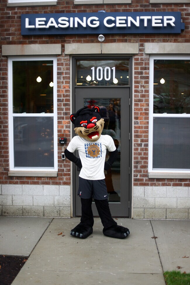 Oficina de arrendamiento - The Vanguard