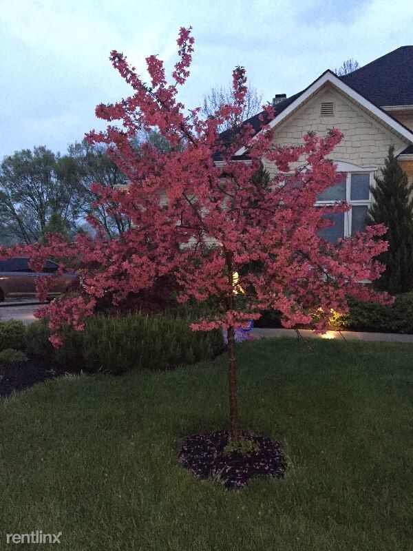 Foto del edificio - 4 br, 4 bath House - 517 Shady Creek Drive