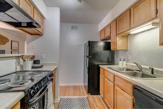 Energy-Efficient, Black Appliances - Vistas at Hackberry Creek