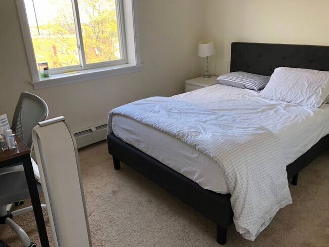 Building Photo - NO FEE!  COMPLETELY RENOVATED LOWER ALLSTON 2 BED