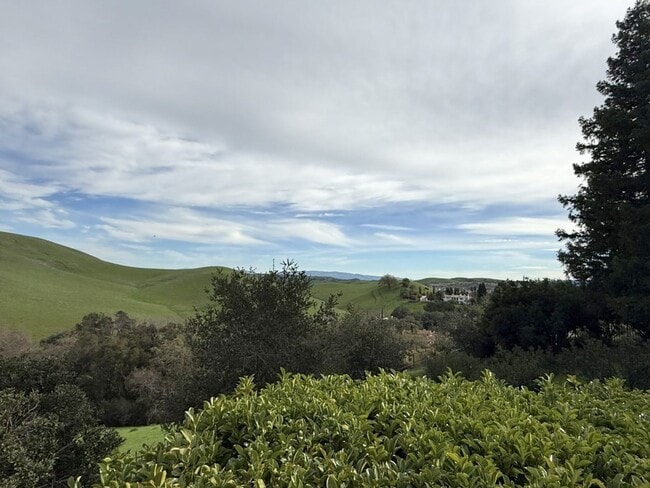 Building Photo - Beautiful custom one story estate located on one of the most desirable streets in Blackhawk Count...