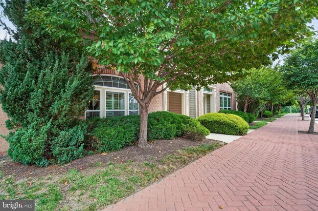 Foto del edificio - 1303 Cheswick Ln