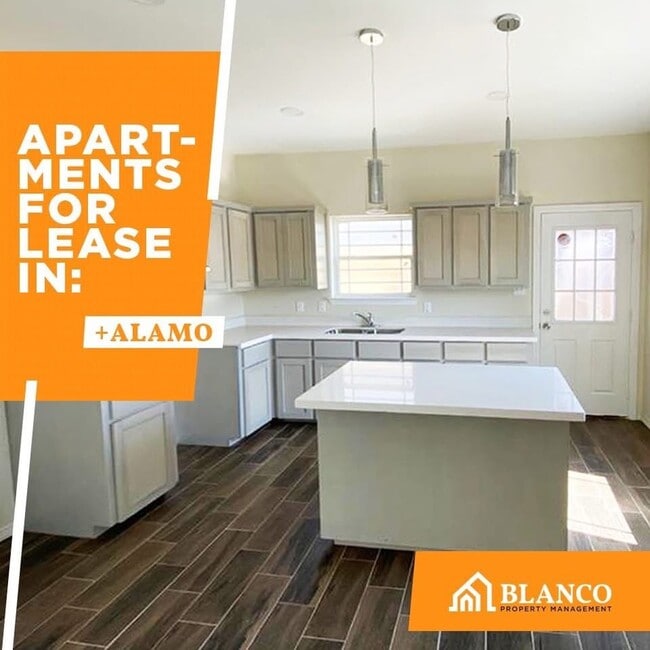 Building Photo - 1008 Calle Naranja