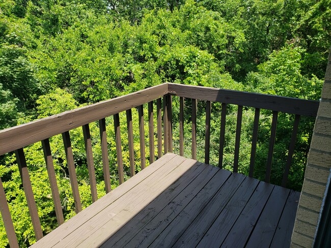 Deck - 2200 Augusta Blvd