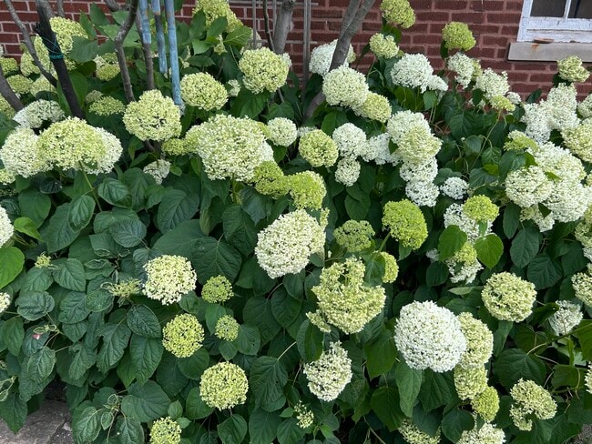 Building Photo - 220 W Harris Ave