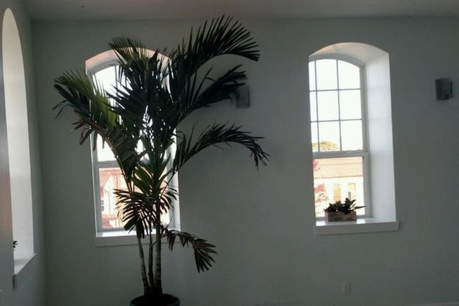 Room - 22 Cottage St