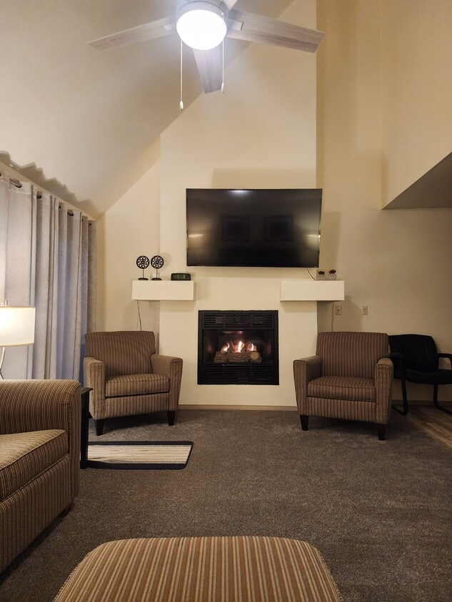 Chimenea de gas con temporizador, techo abovedado en la sala de estar - 1810 Briarwood Ct