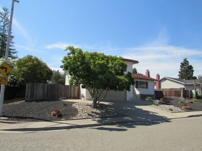 Foto del edificio - Beautiful 4 Bed, 2.5 Bath Home in Perfect San Ramon Location