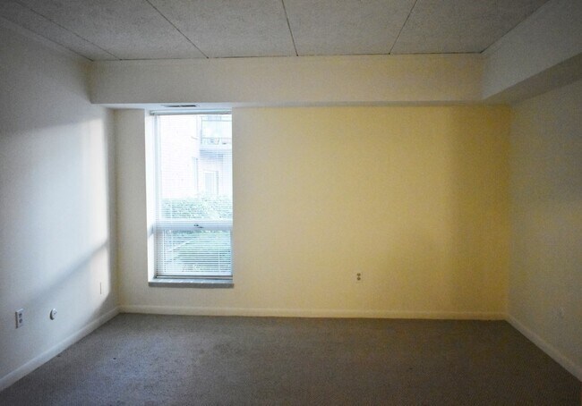 Foto del edificio - 55 Broadlawn Park