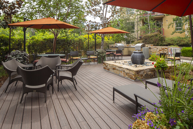 Garden - Serrano Luxury Homes and Garden