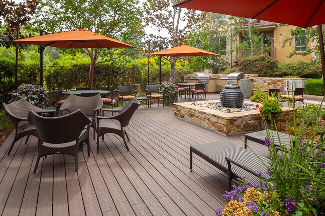 Jardín - Serrano Luxury Homes and Garden