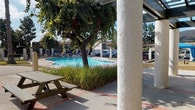 Located at 15095 Via Hondonada in the Rancho Penasquitos community of San Diego, this single-level outdoor amenity space offers a well-appointed gathering area designed for recreation and relaxation. At the heart of the space is a generously sized swimming pool with clear blue water, framed by lush ornamental grasses and mature shade trees that lend a natural, park-like atmosphere. A spa or wading feature is also present nearby, adding to the resort-style appeal.

A covered pergola structure with sturdy white stucco columns and a latticed roof provides ample shade over a concrete patio accented with brick-tone inlay details. Beneath the pergola, wooden picnic tables offer comfortable seating for casual gatherings or outdoor dining. The patio extends beyond the covered area into an open-air courtyard with additional picnic tables, surrounded by tall palm trees and wrought iron fencing that defines the perimeter.

A building with large grid-pane glass doors and windows opens directly onto the pool deck, suggesting an indoor-outdoor connection ideal for events or community use. Rolling hillside views in the background enhance the scenic quality of the space. The overall environment is bright, clean, and inviting, reflecting the Southern California lifestyle with its abundance of natural light and thoughtfully maintained landscaping.