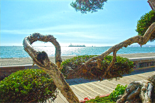 Building Photo - 15 64th Pl