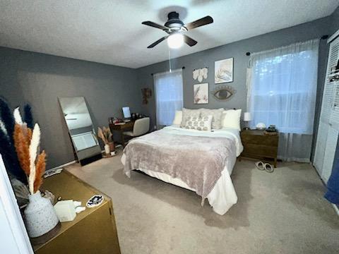Primary Photo - 7 Cherokee Dr