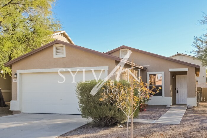 3787 E Desert Wash Ct, Tucson, AZ 85706