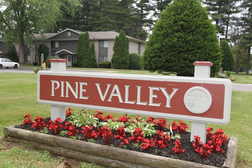 Foto principal - Pine Valley Apartments