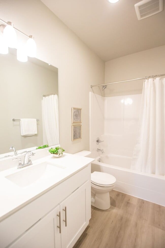 Interior Photo - Q1 Apartments