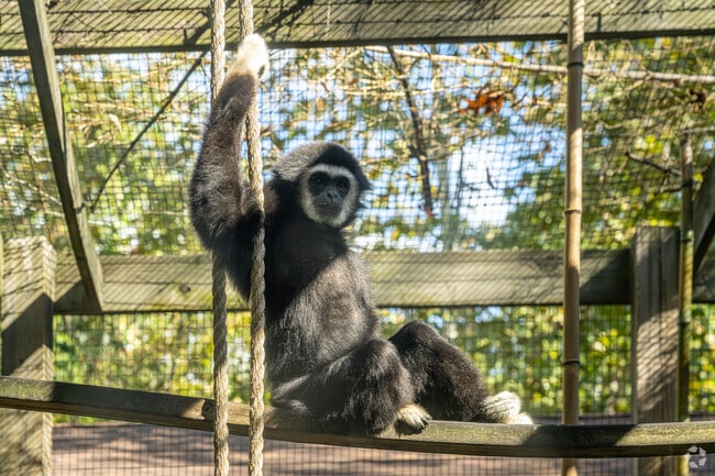 Near Hopewell Township in Bridgeton, some residents at the Cohanzick Zoo exemplify the chill lifestyle.
