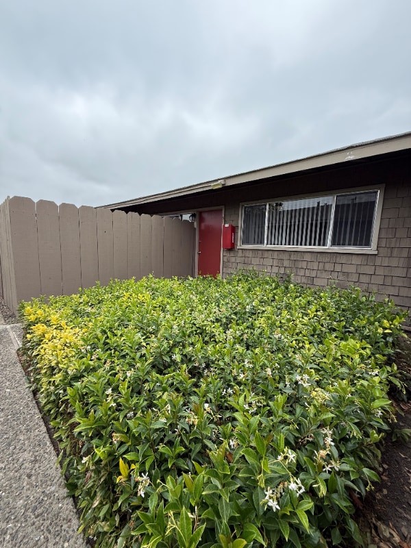Primary Photo - 1330 Byron Dr