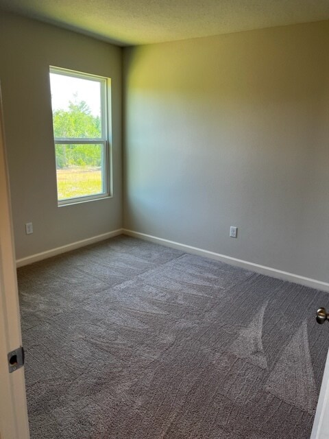 Building Photo - 5590 Lexa Ln