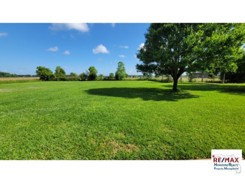Primary Photo - Nice 3/2 with 1 Acre!