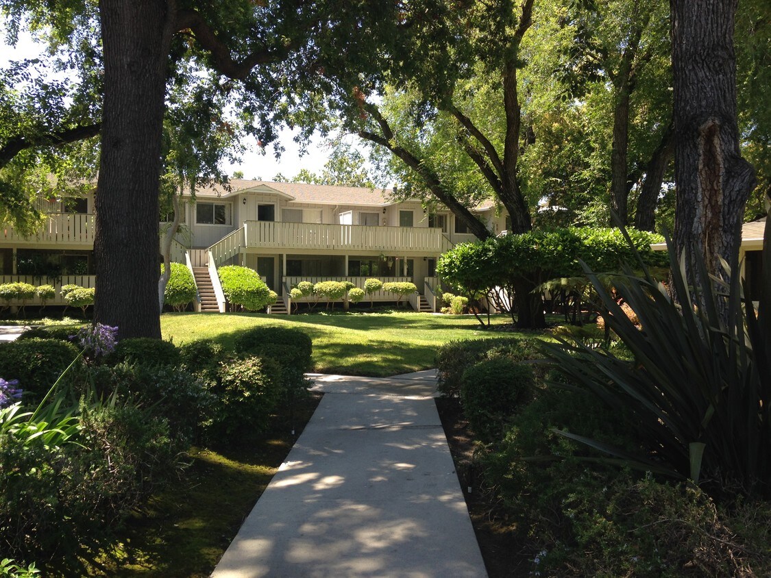 Woodview Apartments Apartments in Mountain View, CA