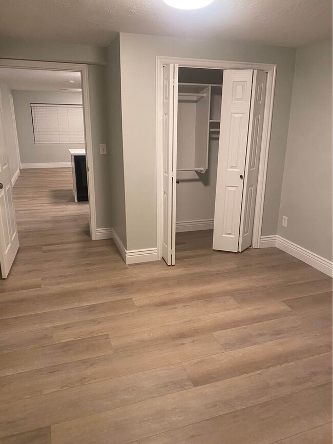 Master closet, looking into great room - 446 E Magellan Ln