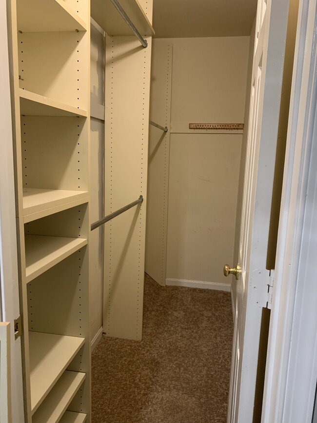 Master Closet - 1317 Gabes Pl