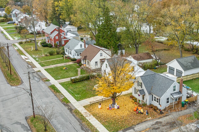 Arial view of a traditional street in the Village of Hamburg.