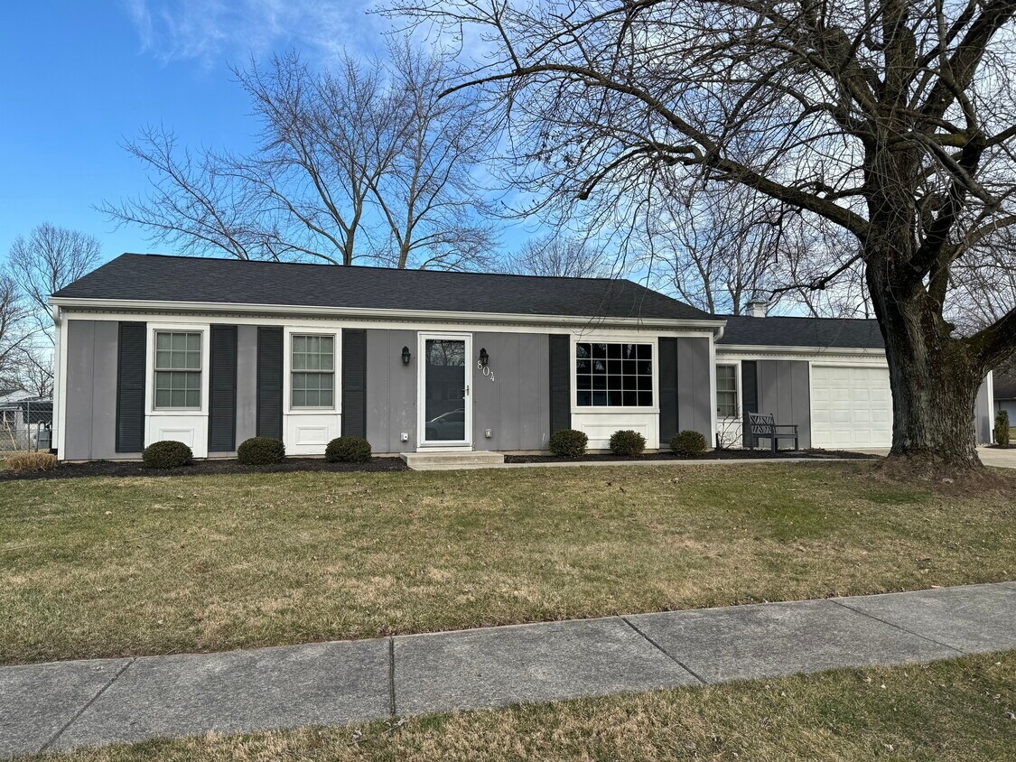 Primary Photo - 804 Meadow Ln