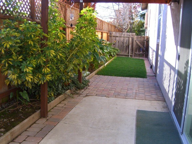 Private back yard - 305 Easy St